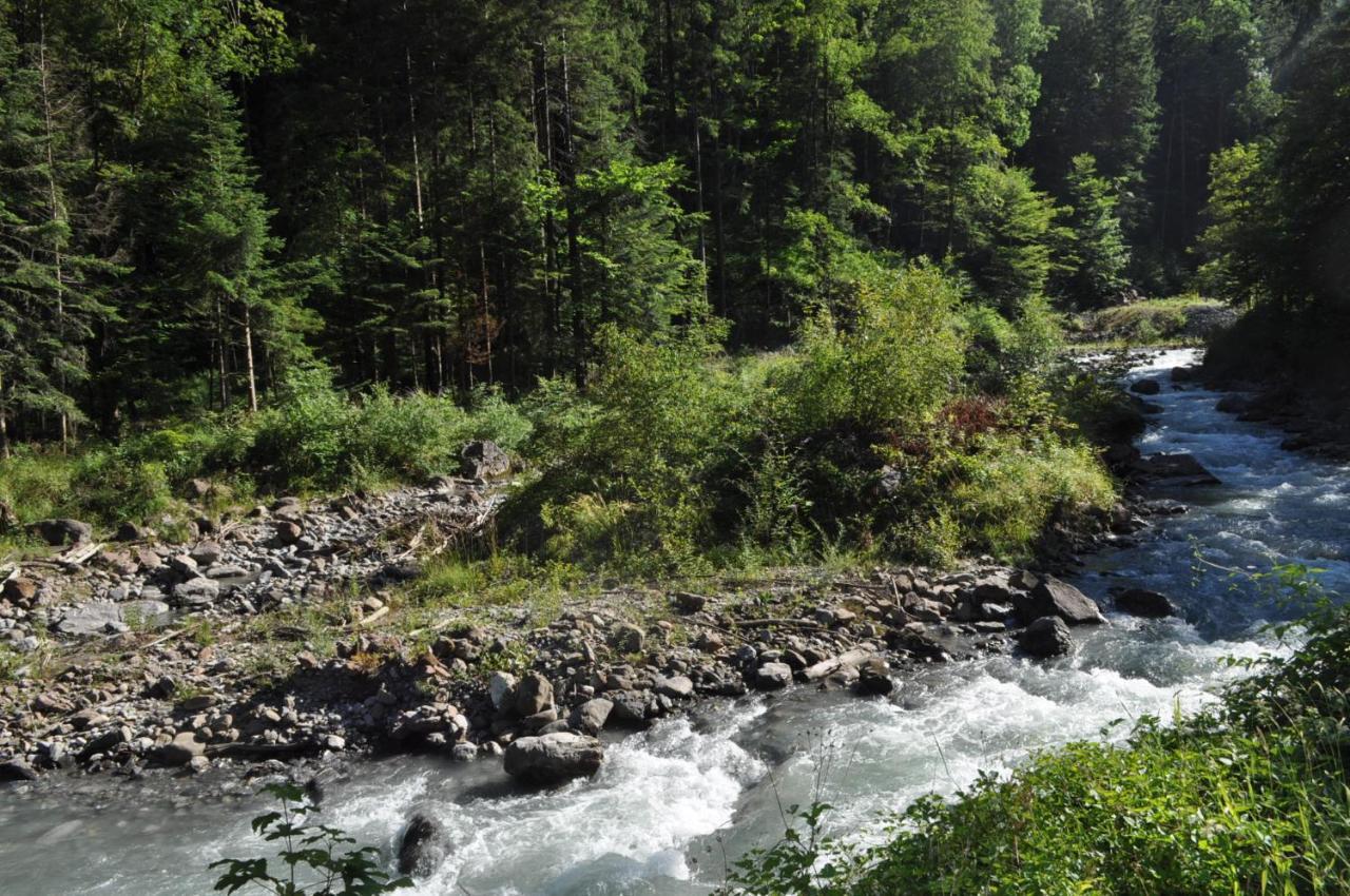 Ferienwohnung Ob Vierwaldsaettersee Isenthal Luaran gambar